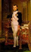 Jacques-Louis David Napoleon in His Study Sweden oil painting artist
